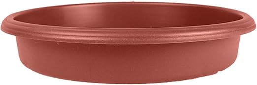 The HC Companies 6 Inch Round Panterra Plant Saucer - Indoor Outdoor Plastic Plant Trays for Pots - 6"x6"x1.19" Clay Colored