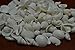 100+ Pcs Assort Mix White Sea Shell Wedding Beach Decor 1 Pound
