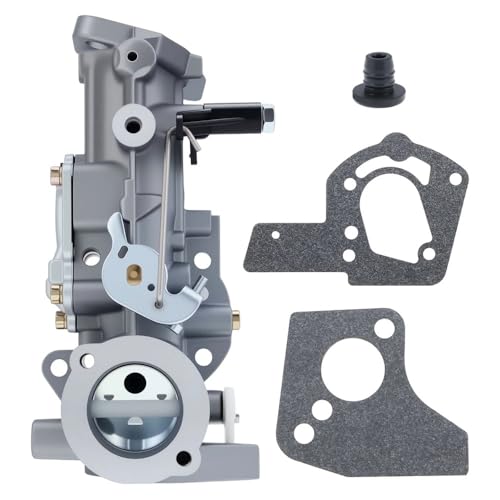 Carburateur tondeuse résout problème démarrage moteur 495426 692784