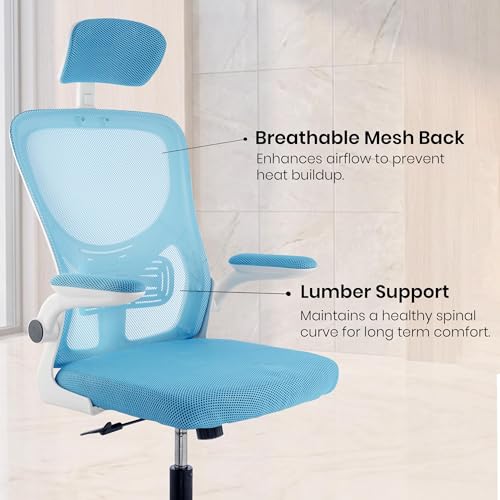 Image of Casa Copenhagen Blue White | High Back Imported Mesh Fabric Boss Office Chair | Y Design Ergonomic Back Support | 2D Aero Design Adjustable Armrests | Synchro Tilt Lock Mechanism Support