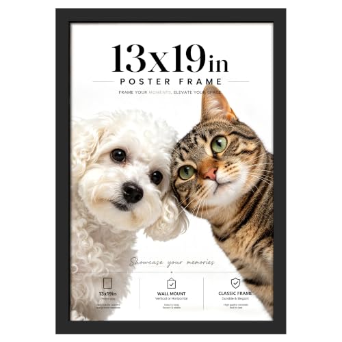 PEALSN 13x19 Picture Frame Black Poster Frame for Wall Mounting Display Horizontally or Vertically Hanging 1 Pack