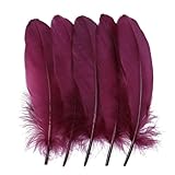 10/50/100 piezas de plumas de ganso teñidas de varias plumas de cisne naturales para manualidades, bodas, joyas, accesorios de fiesta, 15-20 cm/6-8 pulgadas, vino, 10 piezas