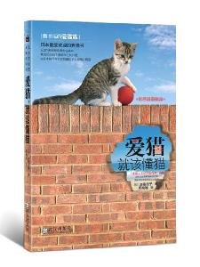 cat: relation to understand the cat