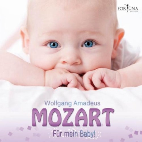 Ilmar Lapinsch & Mostar Sinfonie Orchester