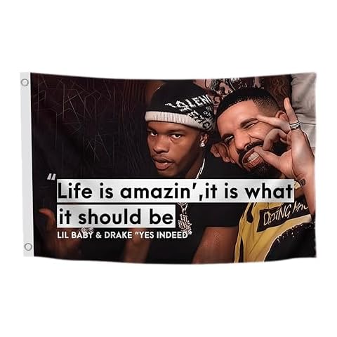 Drake Funny Flag Tapestry by LUIVU Cover