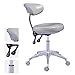 Sgabello Dental Assisting Sgabello Dental Medical Sedia, Sedia mobile regolabile in altezza, sedile in pelle PU Sedia dentista for salone, massaggio, fabbrica, negozio, caricamento Apacity: 550kg