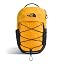 Summit Gold/Tnf Black