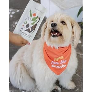 Balance + calm organic treats for dogs wheat free dog treats clean ingredients baked in the usa calming cookies all natural peanut butter bones 2 pack   cucciolini doodles