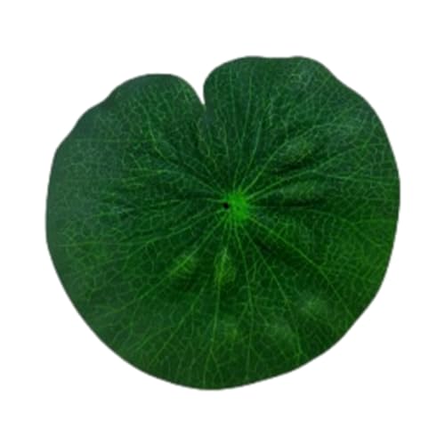 Yusheng Nenúfares realistas - Hojas de Loto de Espuma Flotante Artificial | Hojas de Loto de Rana estimuladas, Hojas de Loto, Almohadillas de nenúfar para Estanque, Piscina, Peces Koi, Patio