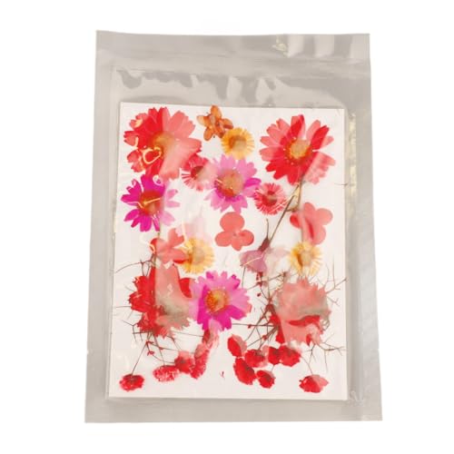 Flores secas variadas 5 bolsas prensadas para manualidades miniatura 7