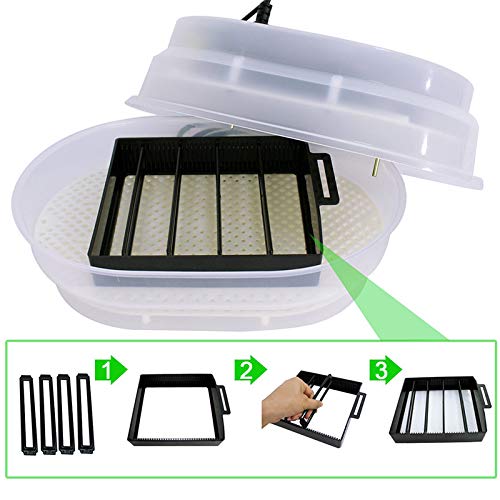 Smartxchoices Digital Mini Egg Incubator 9-12 Eggs with Fully Automatic Turning Humidity Control Poultry Hatcher for Chickens Ducks Goose Birds
