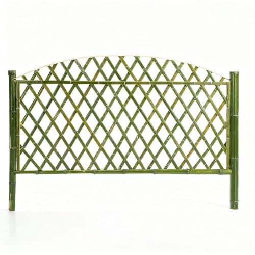 varayumi |_ |tFX p[e[V | K[ftFX   ډB O d؂ VR|  hha | iϑ (2*1m(B^Cv))