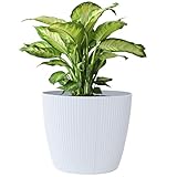 KONZEPT Blumentopf 5,2 l, gerillte Struktur 22 cm, Übertöpfe für Zimmerpflanzen aus Kunststoff ideal für Wohnzimmer, Küche und Balkon