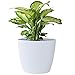 KONZEPT Blumentopf 5,2 l, gerillte Struktur 22 cm, Übertöpfe für Zimmerpflanzen aus Kunststoff ideal für Wohnzimmer, Küche und Balkon