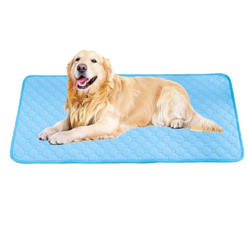 Image of BAMY 2 Pcs Washable Dog Pee Pads Absorbs Urine Pet Training Pads Non-Slip Waterproof Doggie Whelping Pad Reusable Dogs Mat Solid Brown Gray Blue Pink (Blue, L (40x28 inch))