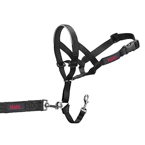 Company of Animals - Halti Headcollar, Black, Size 1 - Image 4
