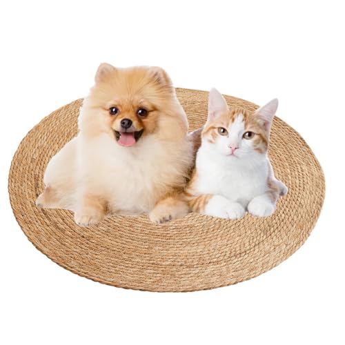 [GIIPET]L ߂Ƃ ی^ ybgN[}bg L ܌ VRTCU LpXNb`[}bgƋ \t@ Ǌp ی XgX h~ ܖ  ⊴ Ђ Lp NbV^ Lp܂Ƃ}bg   XN