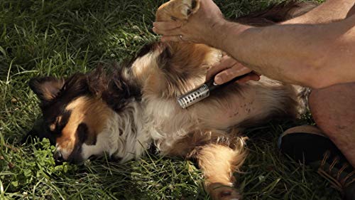 Alpha Pro All-in-One | Pain-Free | Grooming Tool Painlessly and Safely Removes Knots and Tangles from Long Haired Dog… - Image 7