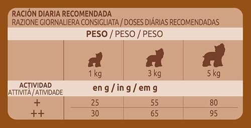 Ultima Taglia Piccola Yorkshire Terrier Pollo