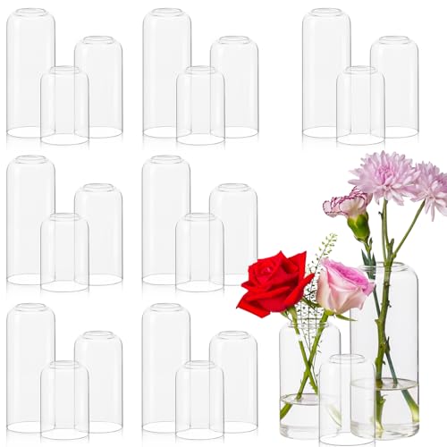 DYMFADFB Glass Bud Vases Set of 24 - Clear Flower Vases for Centerpieces Small Glass Vase Modern Bud Vase for Wedding Party Dining Table Centerpieces Living Room Decorative Home Decor