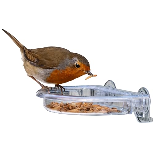 Small Easy Clean Garden Window bird feeders - Jacobi Jayne I Love Robins TreatTray Window Bird Feeder - no mess stick on window bird feeder for garden birds