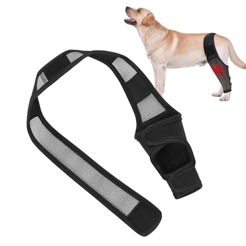 SHENGYIG XL Leckschutz für Hunde-Verstellbare Hundebandage Hinterbein (Schwarz)-Kniebandage für Hunde mit Beinschutz-Unterstützt Vorde-& Hinterbeine-Ideal bei Inkontinenz, Wunden & Gelenkproblemen