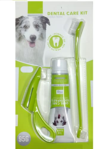 The DDS Store Pet Toothpaste Oral Care Kit 3 in 1 Toothpaste Clean Teeth Mint Flavor, 95g