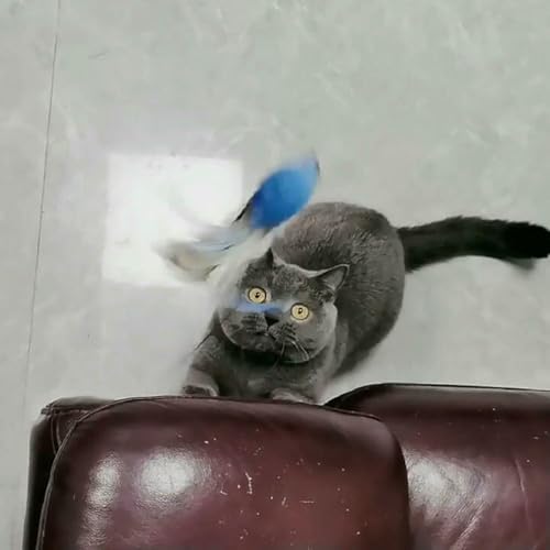 Tête de rechange pour chat lot de 2 embouts plume pour jouet interactif - 4