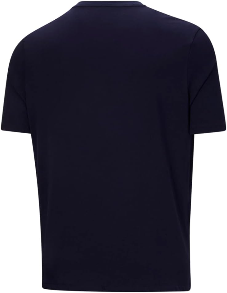 PUMA Men's Big & Tall Essentials+ V Neck Tee Bt