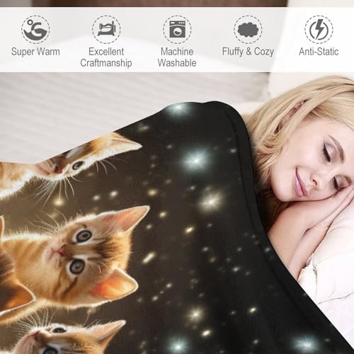 Couverture chat mignon sur canapé pour des soirées cocooning et douillettes - 4