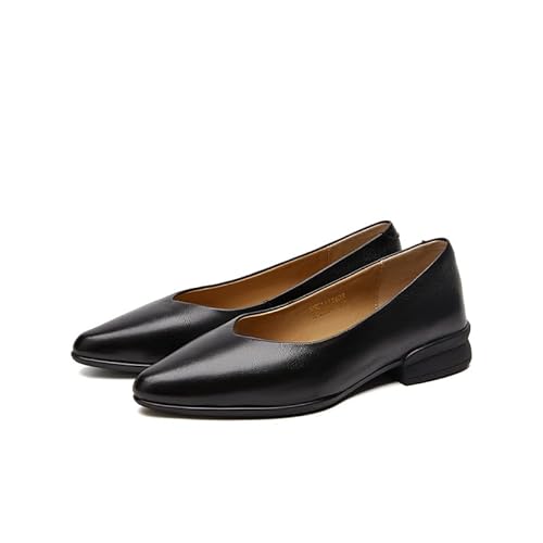 [Dafoni] [q[ tbgV[Y Vv JWA Xb| q[3cm EȂ |CebhgD y  ₷ _炩 ʋΌC ItBX  C ₷