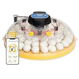 Brinsea Maxi 48 EX Connect – Incubateur d'œufs de poule 48 haut de gamme, entièrement cont...