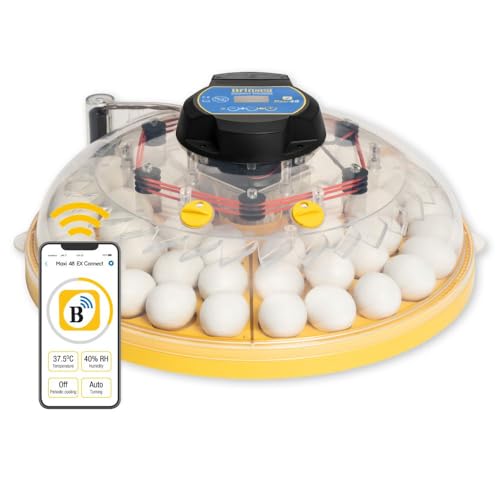 Brinsea Maxi 48 EX Connect – Incubateur d'œufs de poule 48 haut de gamme, entièrement contrôlé par application