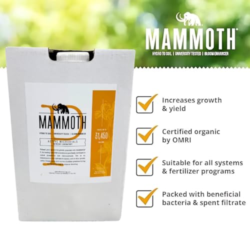 Mammoth P Organic Fertilizer Microbial Inoculants 16% Increase in Yield Maximize Phosphorous and Enhance Plant Health Nutrient Supplement Proven to Grow Bigger Yields - 1 Gallon/4 Liter by Mammoth - Image 3