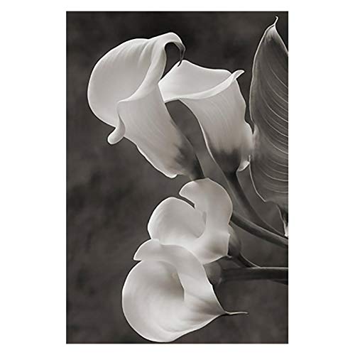 Toile peinture pour chambre moderne triptyque de fleurs imprimées noir et blanc