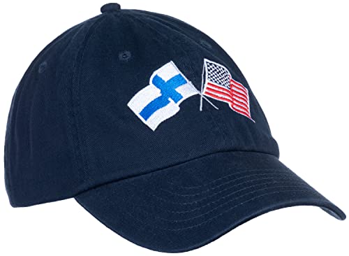 Image of Ann Arbor T-shirt Co. American Friendship Nations Flag Baseball Low Profile Dad Hat for Men Women