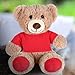RoundFunny Bear Tee Shirt Fit Most Bear Clothes Stuffed Animal Clothes Shirt Basic Stuffed Bears Dolls Shirt (14-18inch,Red)