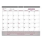 Brownline 2024 Monthly Desk Pad Calendar with Clear Vinyl Strip, 12 Months, January to December, 22' x 17' (C1731V-24)
