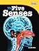 The Five Senses