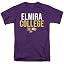 Elmira Soaring Eagles