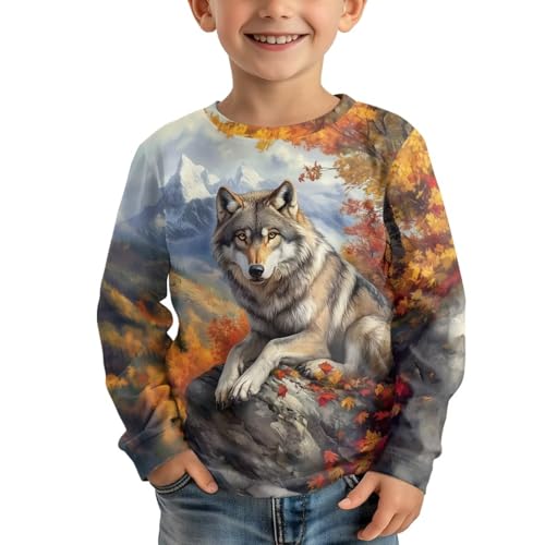 WELLFLYHOM Fall Top Boys Long Sleeve Shirts Casual Crewneck T-Shirt Active Pullover Tee Tops 3-16T