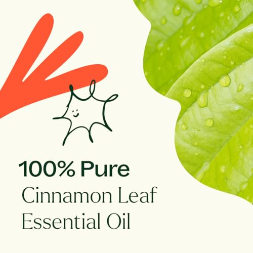 Aceite esencial de hoja de canela 30 mL 100% puro miniatura 5