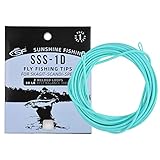 SF Skagit Schwimmende Spitze Scandi 1D Spey-TIPP zum Fliegenfischen mit Zwei geschweißten Schlaufen für Lachs #Light Mint 125GR/8.1G, 15FT/4.5M