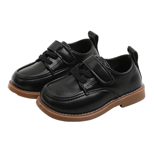 LbY tH[}V[Y j̎q ̎q y ₷ RC qC L vC ~ tH[}C ₷ Gi _XV[Y jp ܎O  w \ t a ʊw