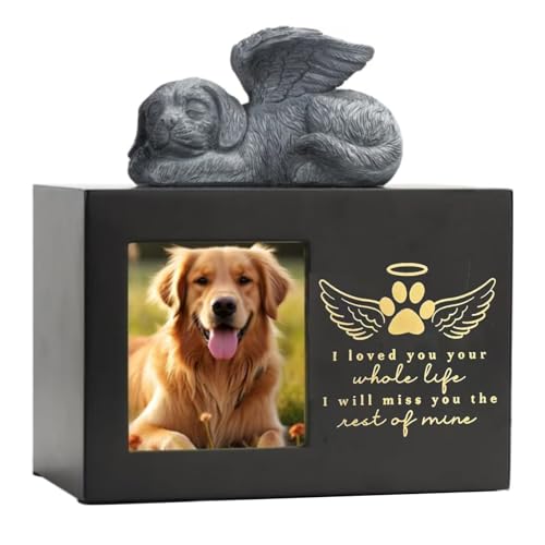 ybgD{bNXLʐ^JX^}CYDLOiV{bNX߂݂̏L҂̂߂̍LXƂCeA