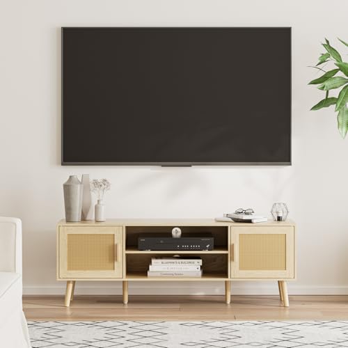 HEYZOEY TV Schrank, Lowboard für TV bis 65 Zoll, 2-türiges TV Board...