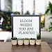 Set of 5 Succulents Fake Plants Bedroom Aesthetic Small Fake Plants Bathroom - Mini Fake Plants Decor for Office Desk Decor - Tiny Realistic Fake Succulent Plants Artificial Potted Set Cute Decoration