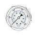 Liquid Filled Center Back Mount Pressure Gauge with 2.5