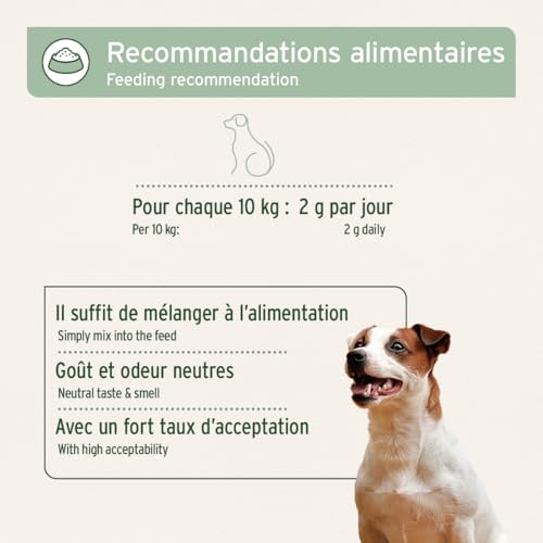 AniForte Marine Kollagen Gelenkpulver für Hunde CollaMove 450g – Fisch Collagen unterstützt Gelenke, Sehnen & Bänder – Naturprodukt für Gelenkfunktion & Agilität