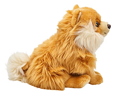 Uni-Toys - Zwergspitz, sitzend - 23 cm (Höhe) - Plüsch-Hund, Spitz, Haustier - Plüschtier, Kuscheltier